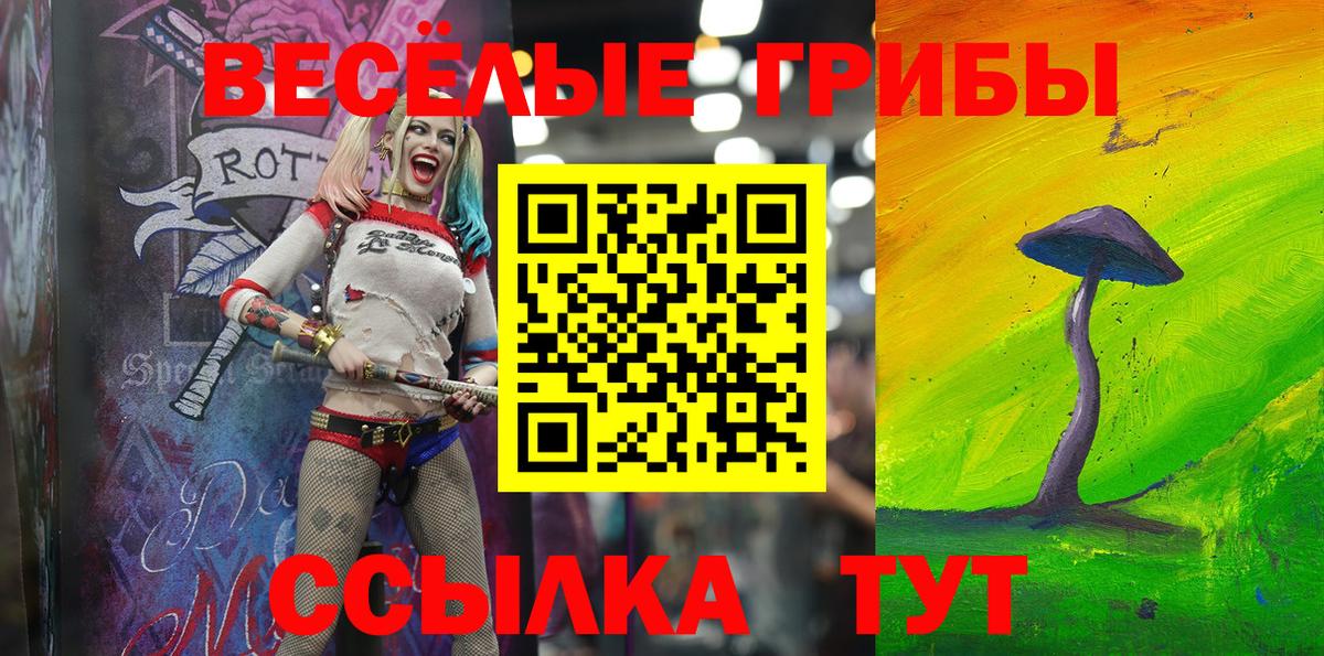 Галлюциногенные грибы Cubensis Мценск